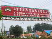 组织介绍